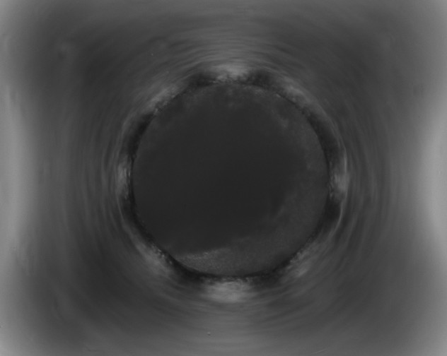 X0000085220468200703091204