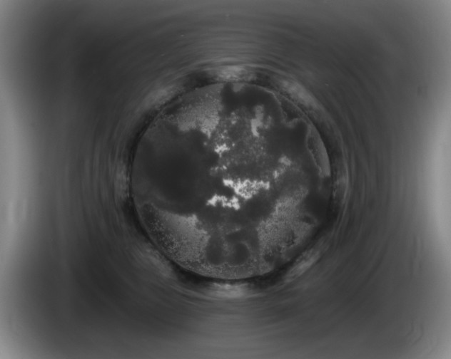 X0000085220469200703091204
