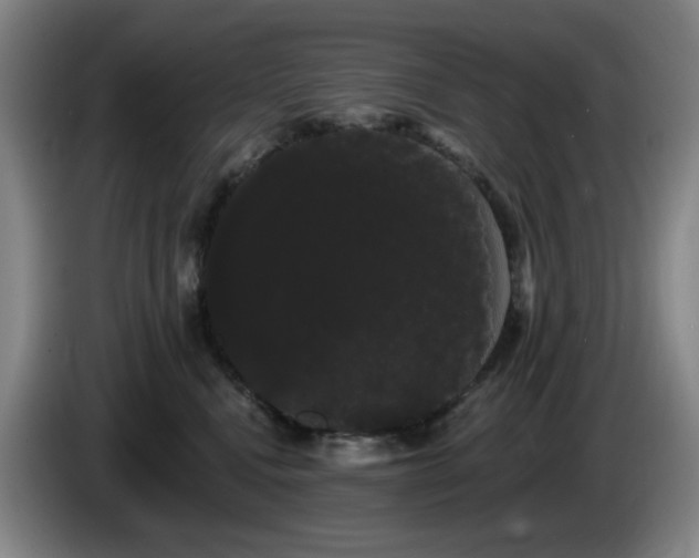 X0000085220472200703091204