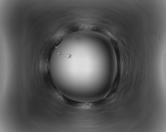 X0000085220474200703091204