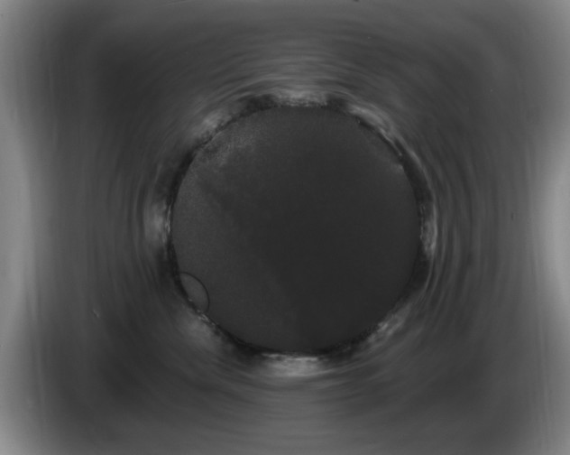X0000085220476200703091204