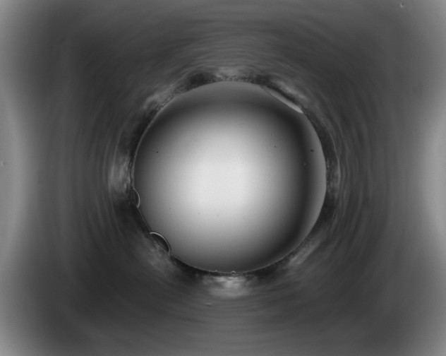 X0000085220478200703091204