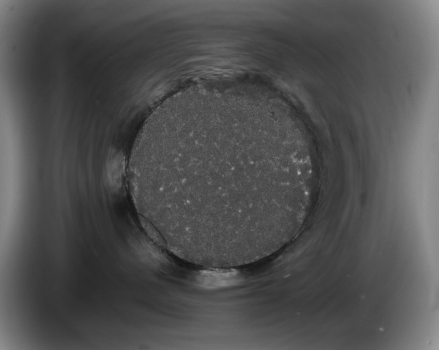 X0000085220480200703091204
