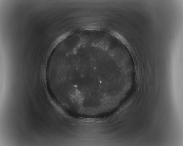 X0000085220482200703091203
