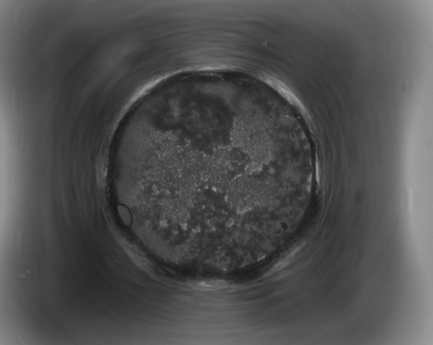 X0000085220483200703091203