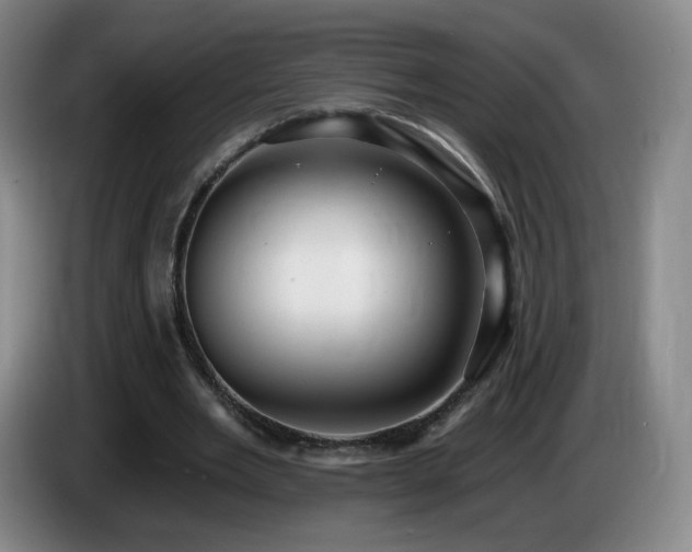 X0000085220485200703091203