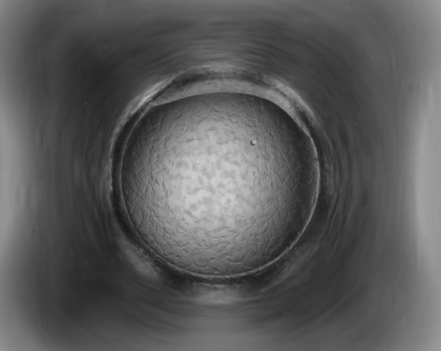 X0000085220486200703091203