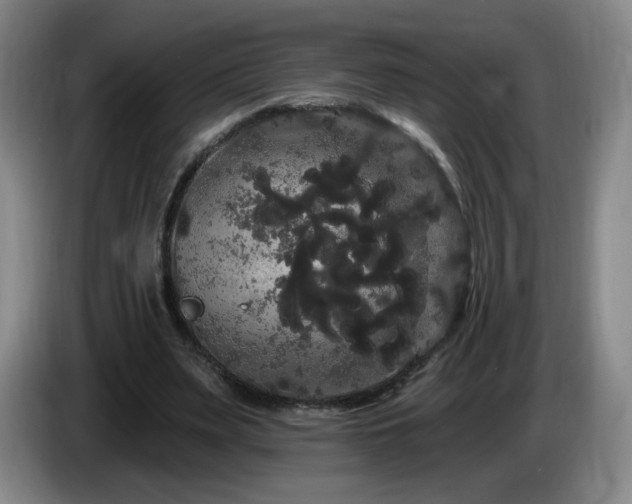 X0000085220487200703091203