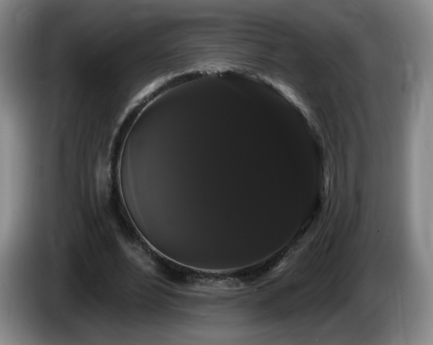 X0000085220488200703091203