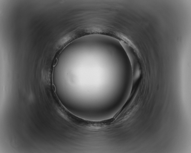 X0000085220489200703091203