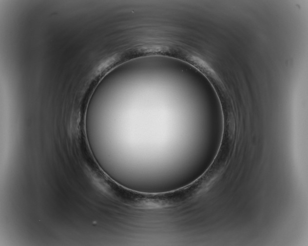 X0000085220490200703091203