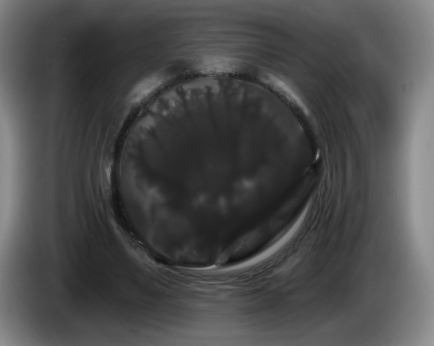 X0000085220491200703091203