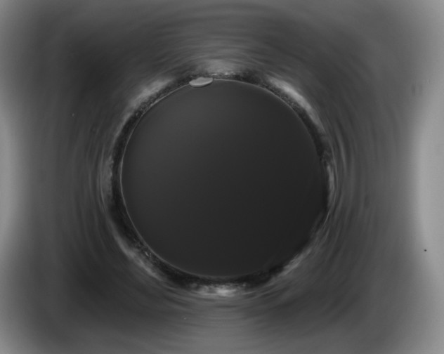 X0000085220492200703091203