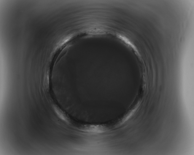 X0000085220493200703091203