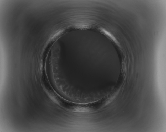 X0000085220494200703091203