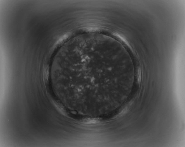 X0000085220495200703091203