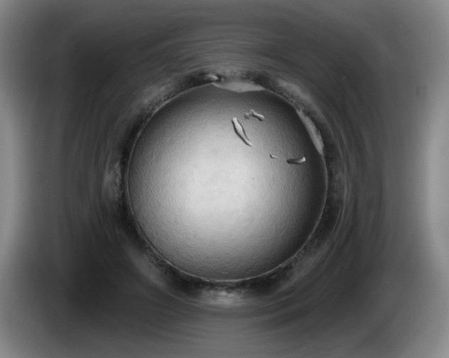 X0000085220498200703091203