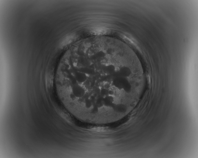 X0000085220499200703091203