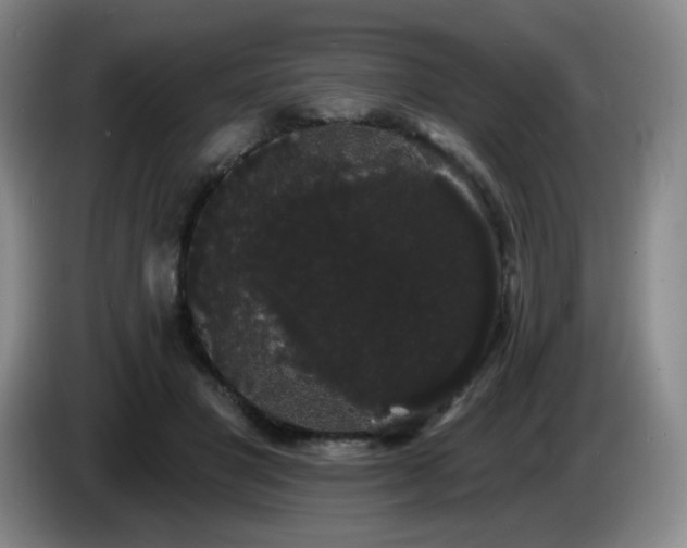 X0000085220501200703091203