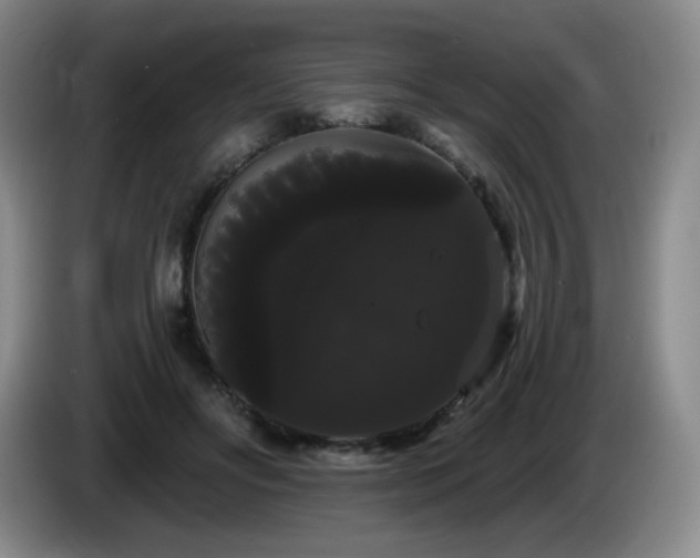 X0000085220502200703091203