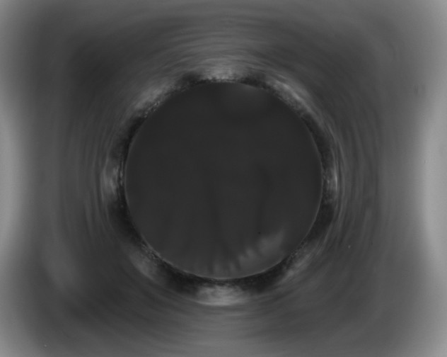X0000085220503200703091203