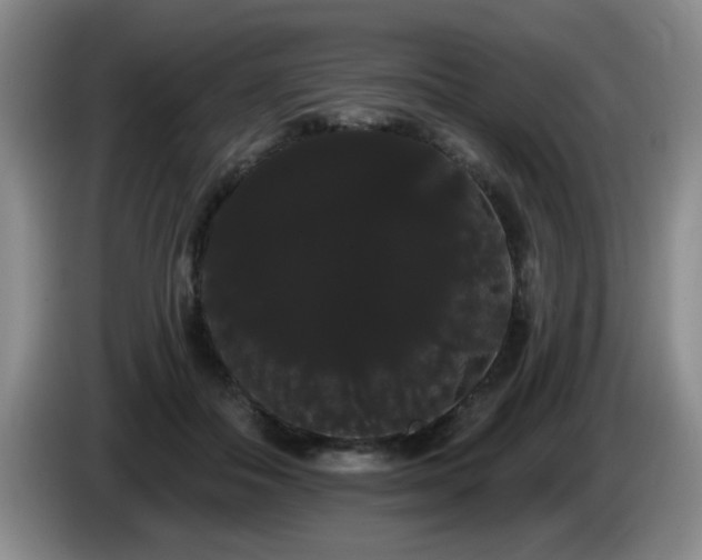 X0000085220506200703091203