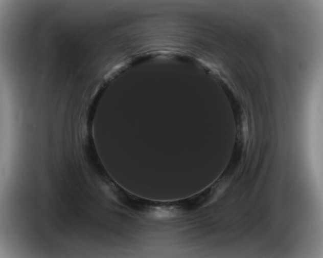 X0000085220508200703091203