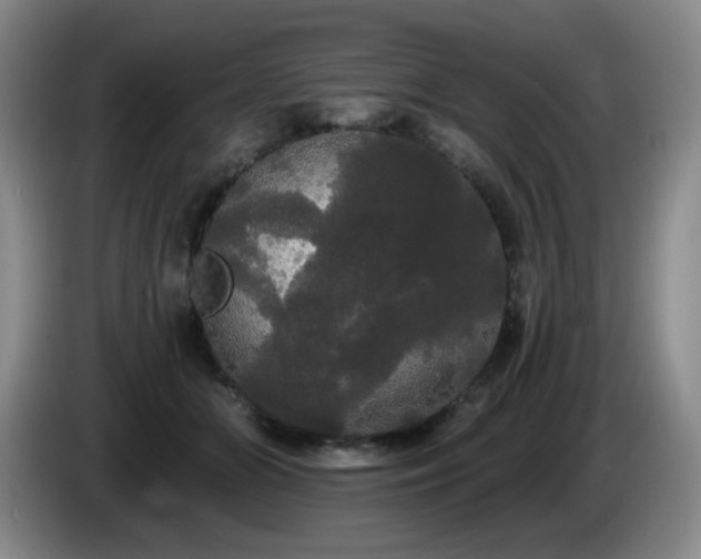 X0000085220510200703091203