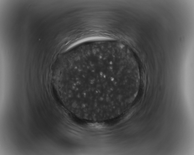 X0000085220511200703091203