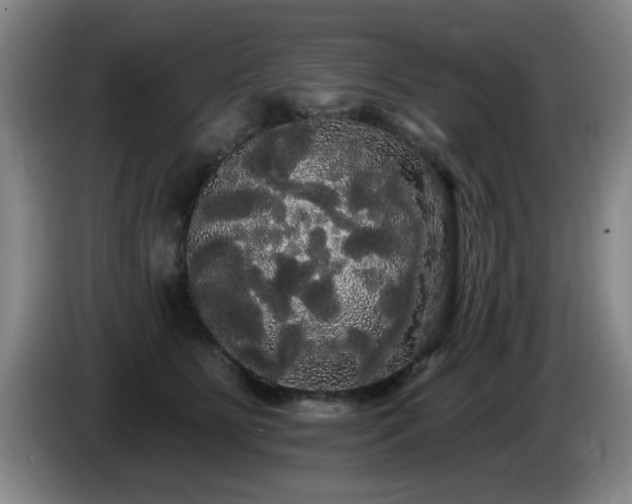 X0000085220515200703091203