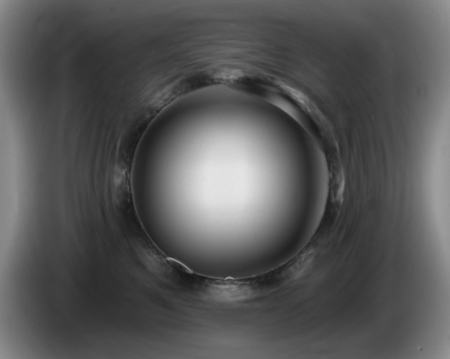X0000085220521200703091203