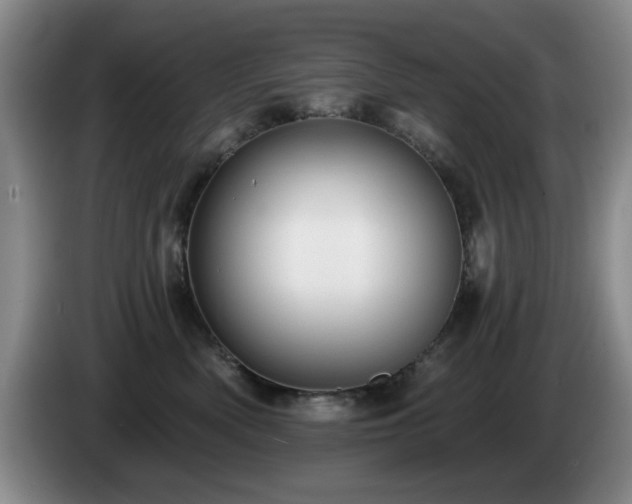 X0000085220522200703091203