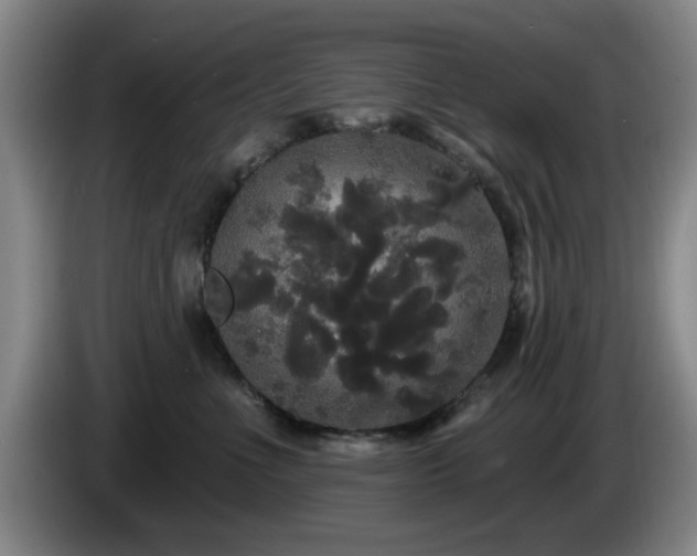 X0000085220523200703091203