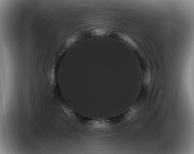 X0000085220524200703091203