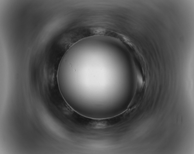 X0000085220525200703091203