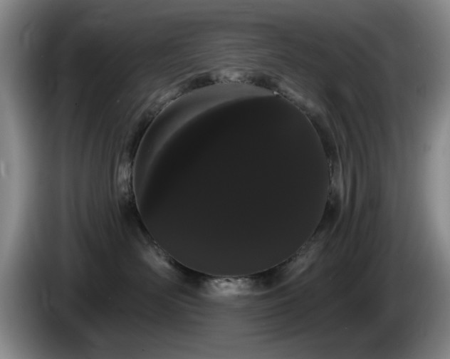 X0000085220526200703091203