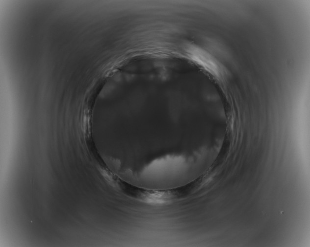 X0000085220527200703091203