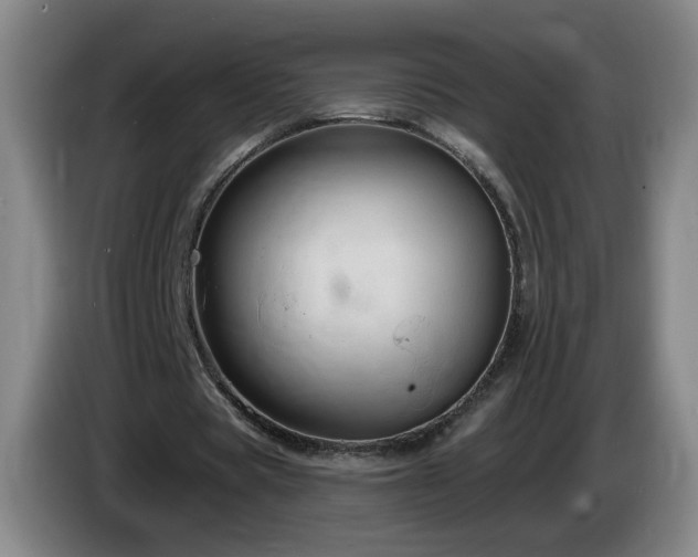 X0000085220529200703091202