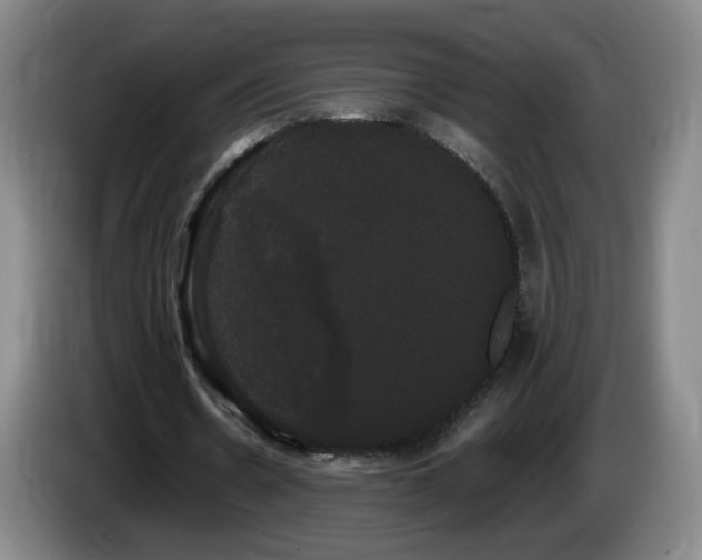 X0000085220530200703091202