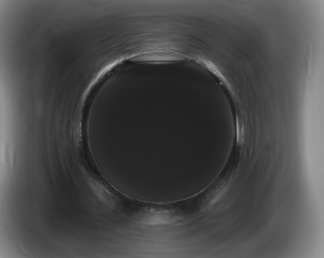 X0000085220531200703091202