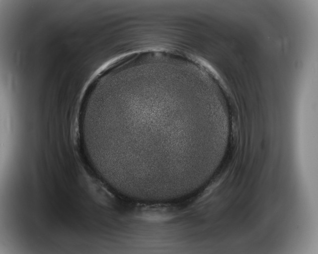 X0000085220532200703091202