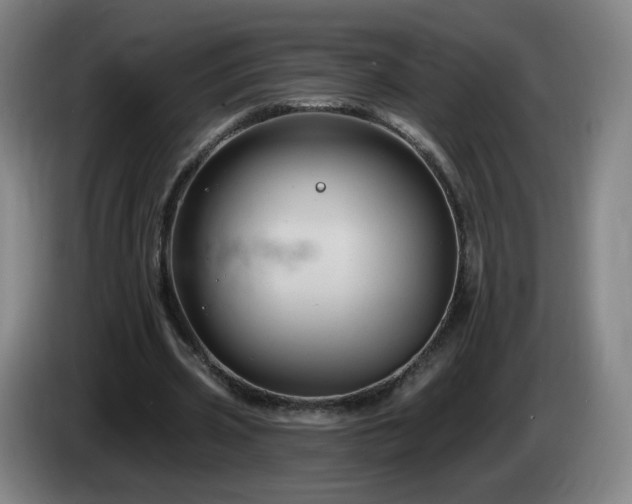 X0000085220533200703091202