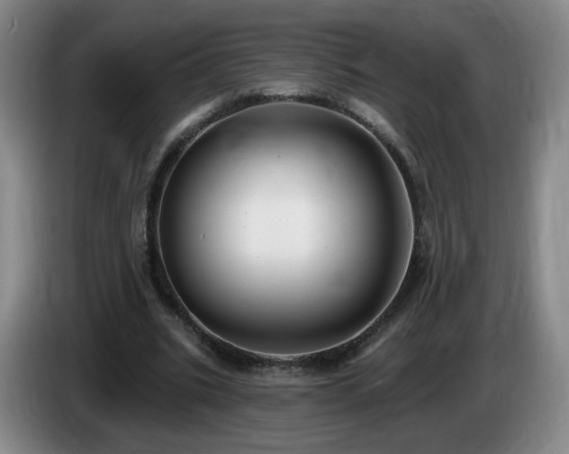 X0000085220535200703091202