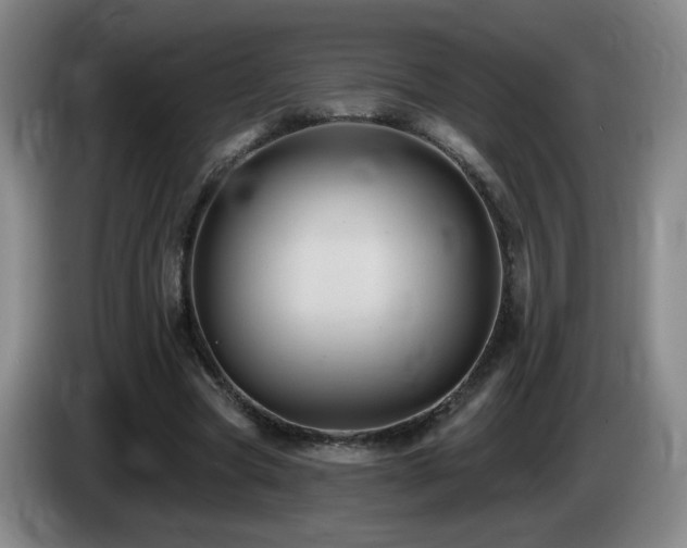 X0000085220537200703091202