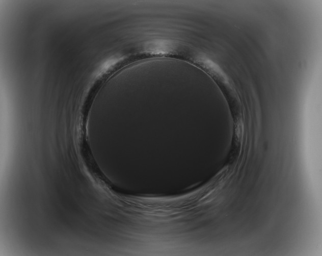 X0000085220540200703091202