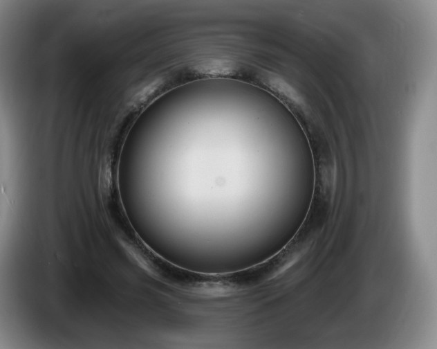 X0000085220541200703091202