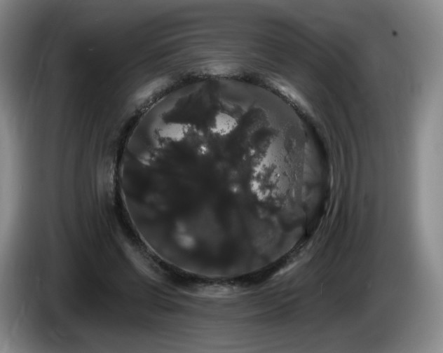 X0000085220542200703091202