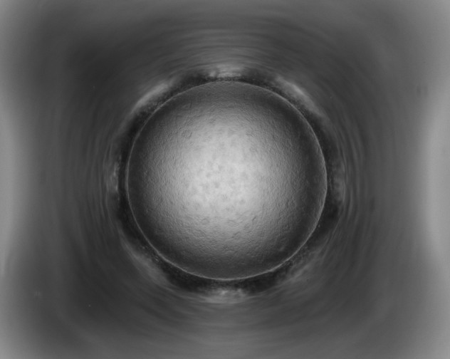 X0000085220543200703091202