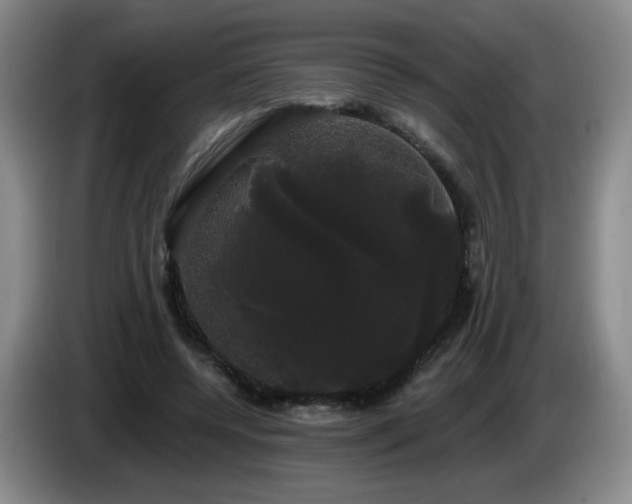 X0000085220544200703091202