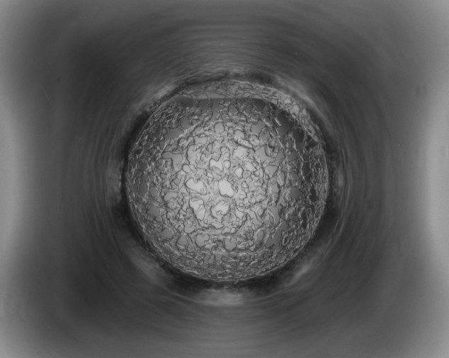 X0000085220545200703091202